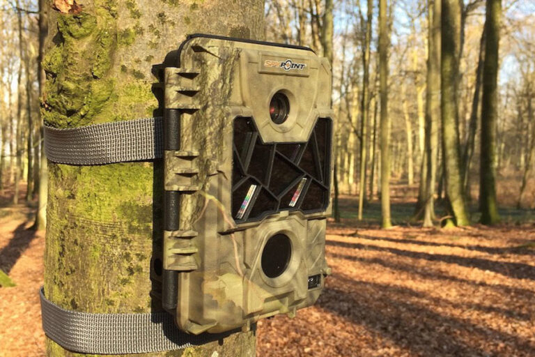 Die-Wildkamera