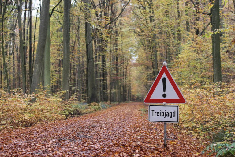 Gesellschaftsjagd
