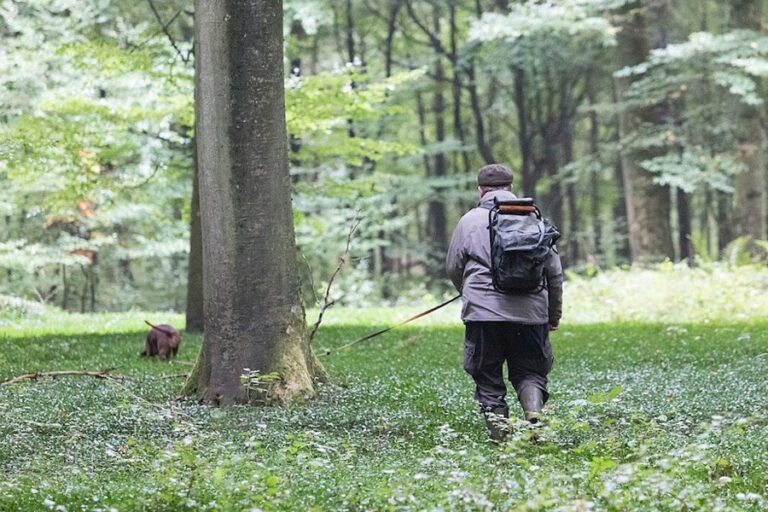 Mit-dem-Jagdhund-zur-Brauchbarkeitspruefung