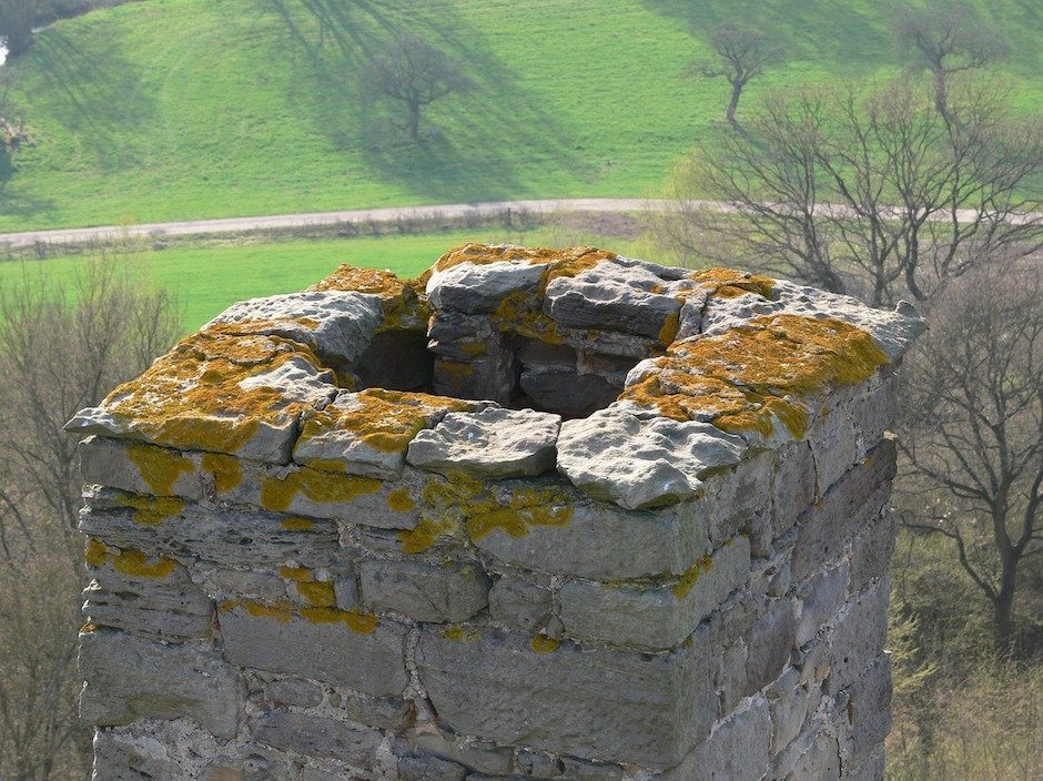 Flechten auf Schornstein