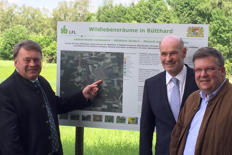 Tafel Wildlebensräume Brunner