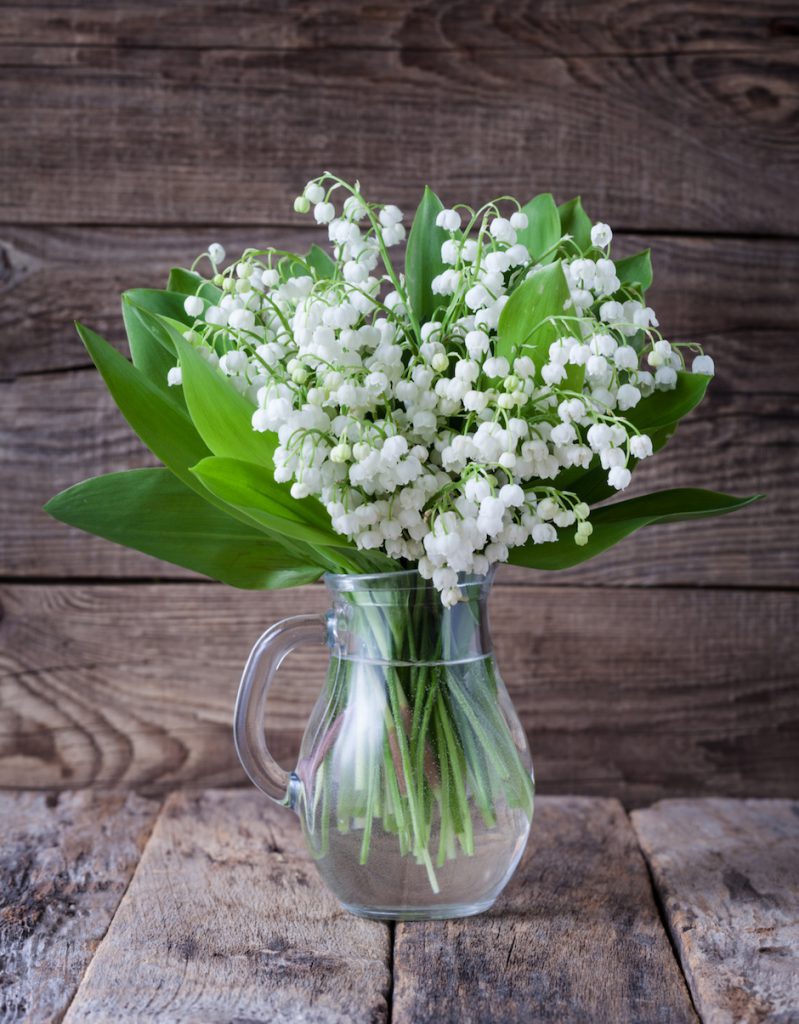 Maiglöckchen Blumenstrauß