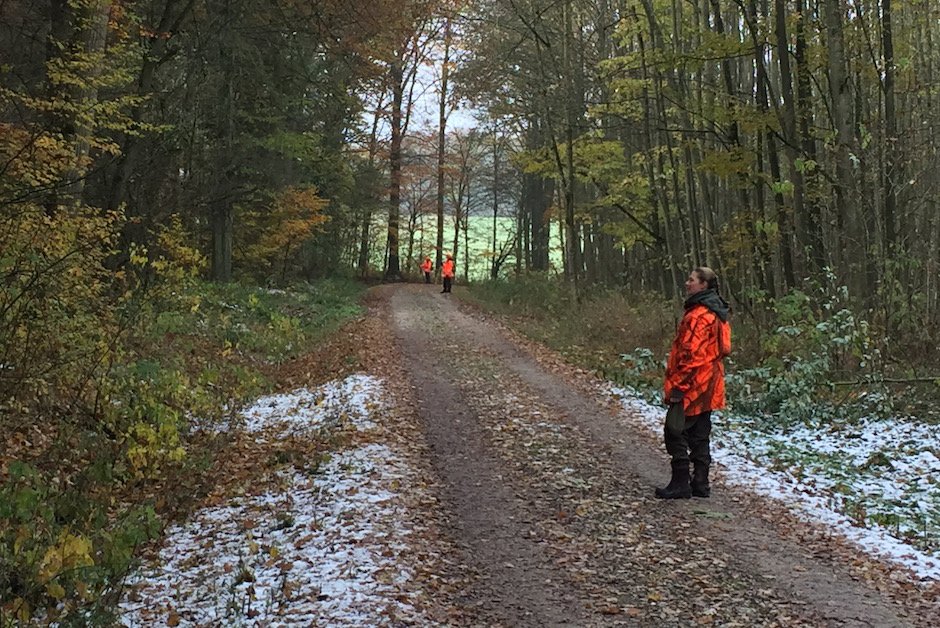 Treiber auf Drückjagd