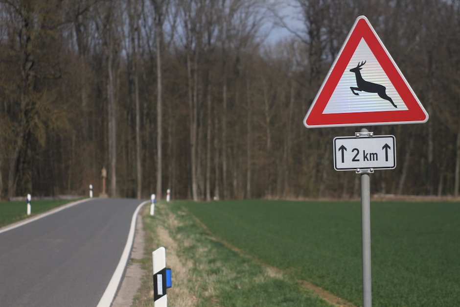 Vorsicht Wildwechsel