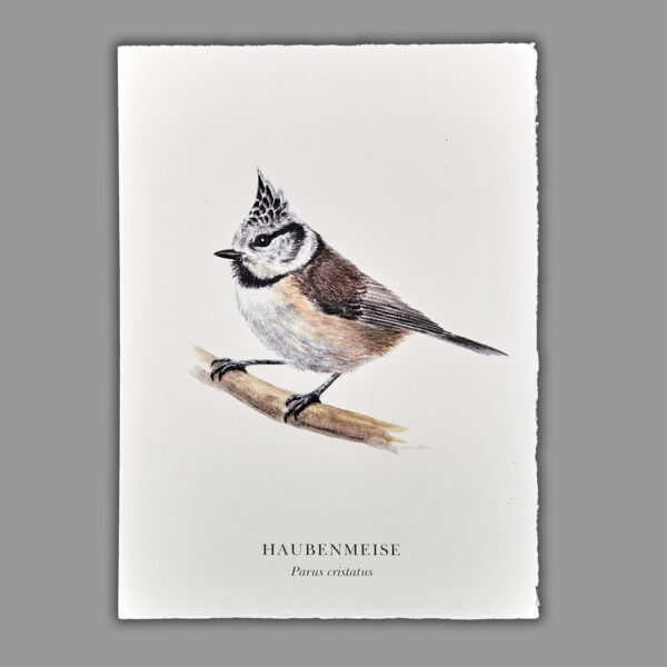 Waldpoet Grußkarte „Haubenmeise“, DIN A6