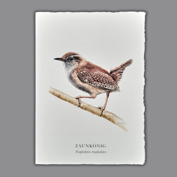 Waldpoet Grußkarte „Zaunkönig“, DIN A6