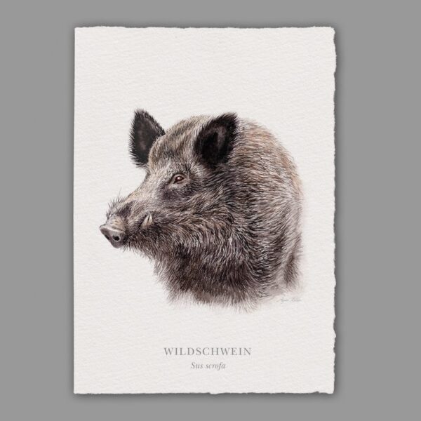 Waldpoet Grußkarte „Wildschwein“, DIN A6