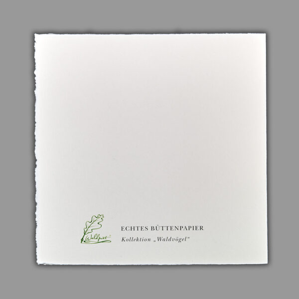 Waldpoet Grußkarte „Wintergoldhähnchen“, 16 x 16 cm – Bild 4