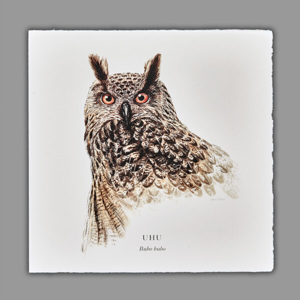 Waldpoet Grußkarte „Uhu“, 16 x 16 cm