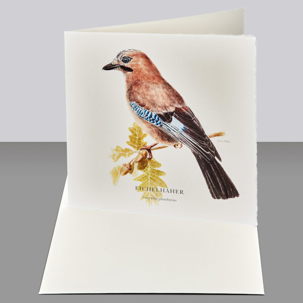 Waldpoet Grußkarte „Eichelhäher“, 16 x 16 cm – Bild 2