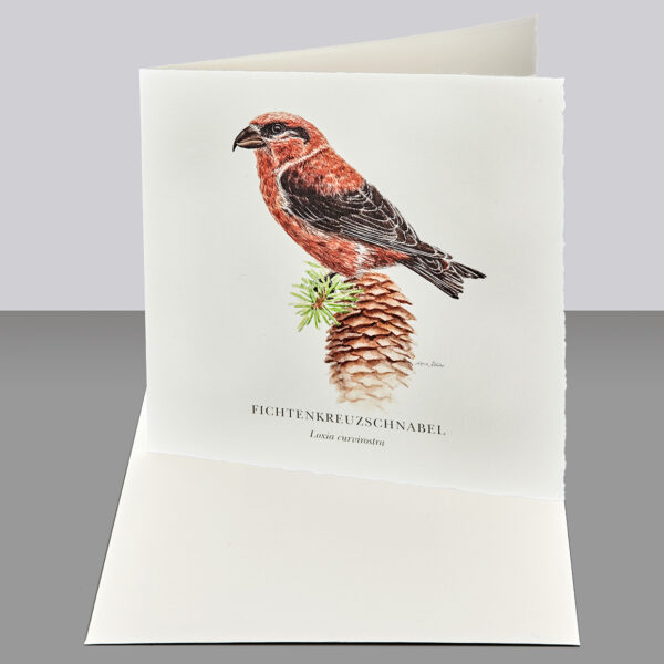 Waldpoet Grußkarte „Fichtenkreuzschnabel“, 16 x 16 cm – Bild 2