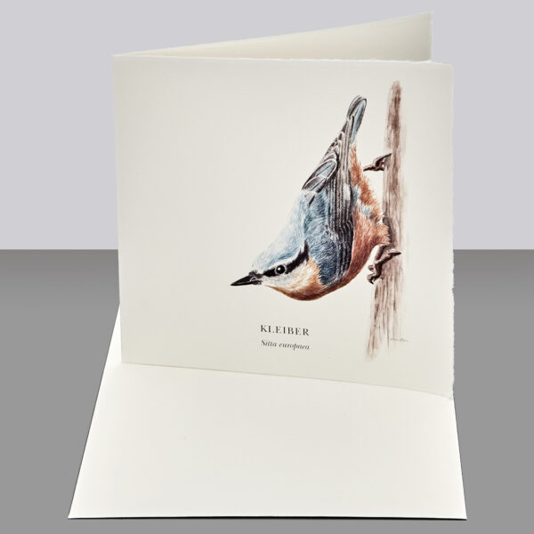 Waldpoet Grußkarte „Kleiber“, 16 x 16 cm – Bild 2