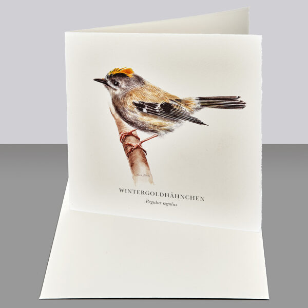 Waldpoet Grußkarte „Wintergoldhähnchen“, 16 x 16 cm – Bild 2