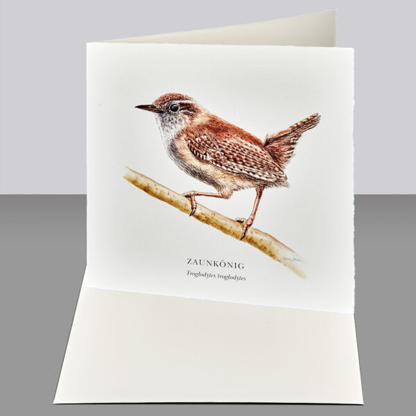 Waldpoet Grußkarte „Zaunkönig“, 16 x 16 cm – Bild 2