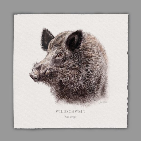Waldpoet Grußkarte „Wildschwein“, 16 x 16 cm