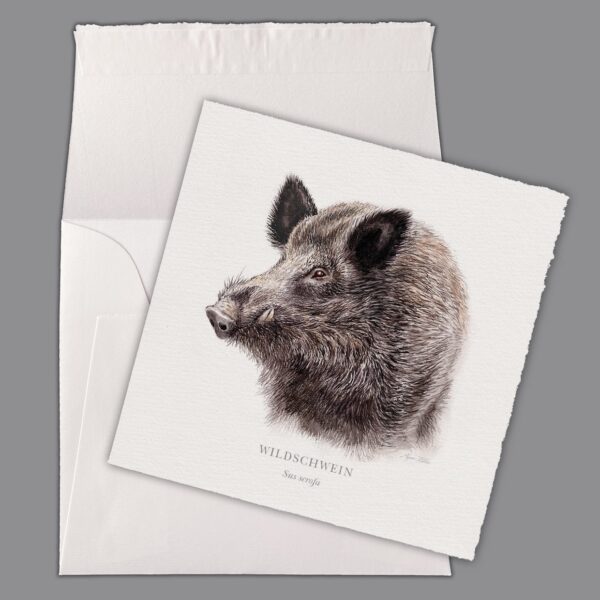 Waldpoet Grußkarte „Wildschwein“, 16 x 16 cm – Bild 4