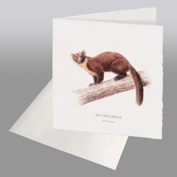 Waldpoet Grußkarte „Baummarder“, 16 x 16 cm – Bild 2